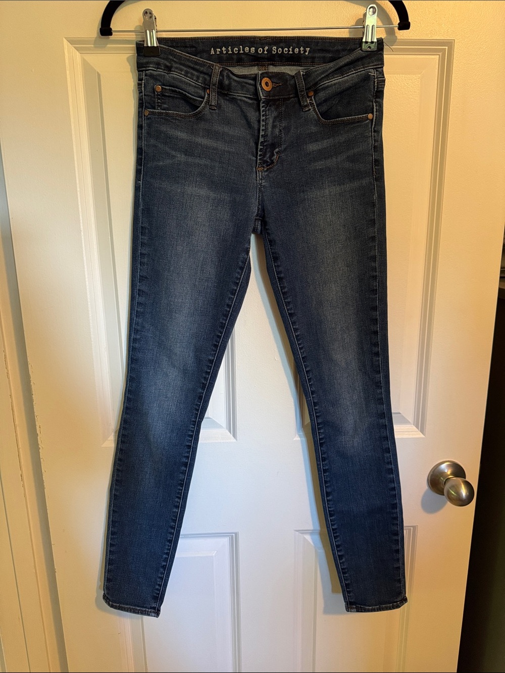 Articles of Society Dark Wash Skinny Jeans